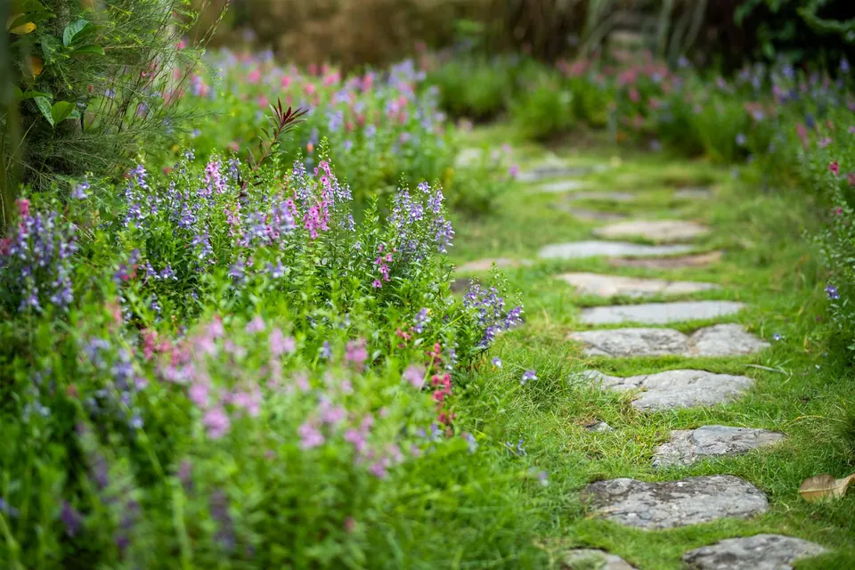 Chemin en pas japonais à travers une bordure fleurie