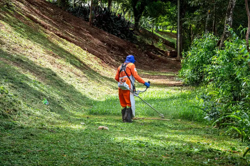 Débroussaillage d'un talus à la débroussailleuse, opérateur équipé de protections