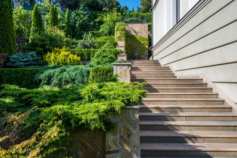 Jardin en pente planté de conifères bas et d'arbustes, escalier le long de la maison