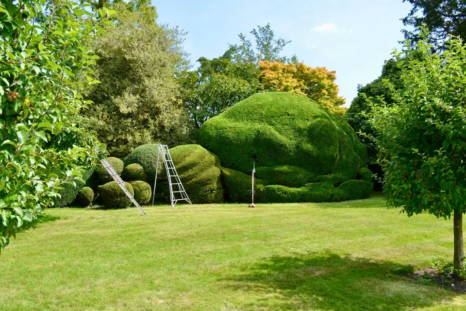 Grand jardin : pelouse, arbres et haies taillées en volumes, échelle d'entretien