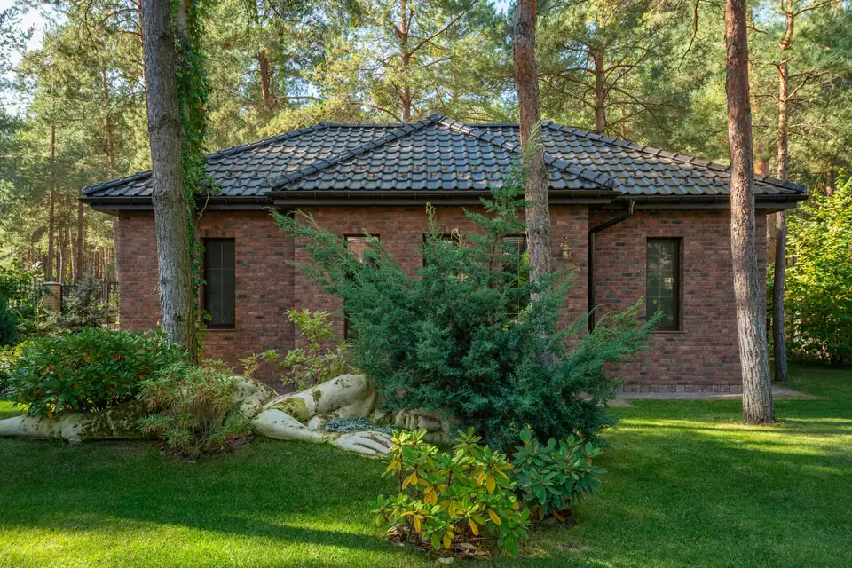 Maison entourée de grands pins, pelouse et arbustes au premier plan
