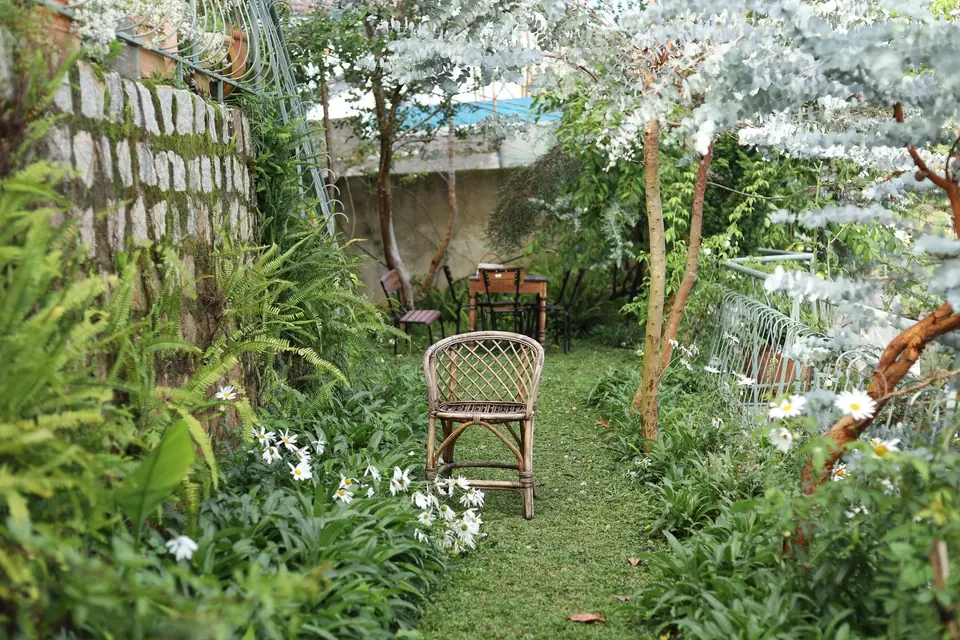 Petit jardin ombragé et touffu, fauteuil en rotin au bout d'un passage herbeux